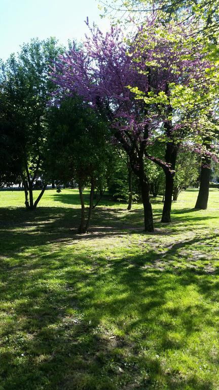 Assisi Garden Hotel ภายนอก รูปภาพ